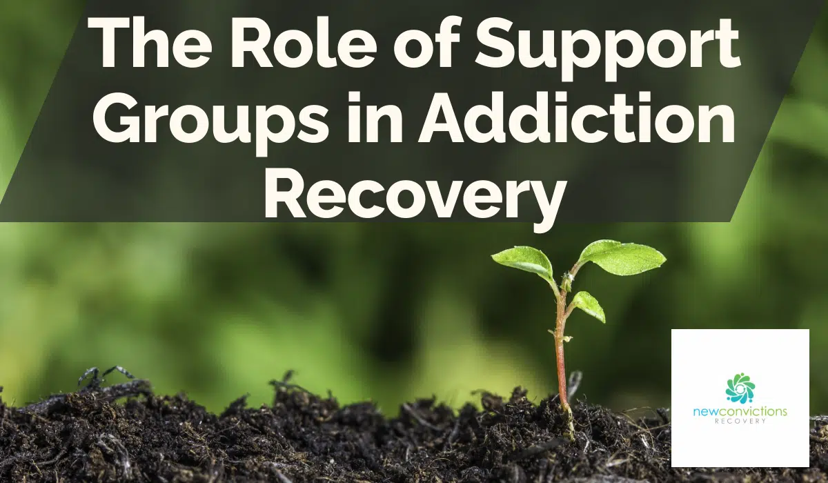 The Role of Support Groups in Addiction Recovery