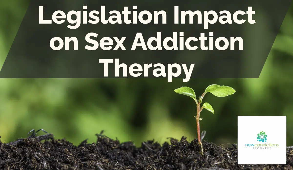 Legislation Impact on Sex Addiction Therapy