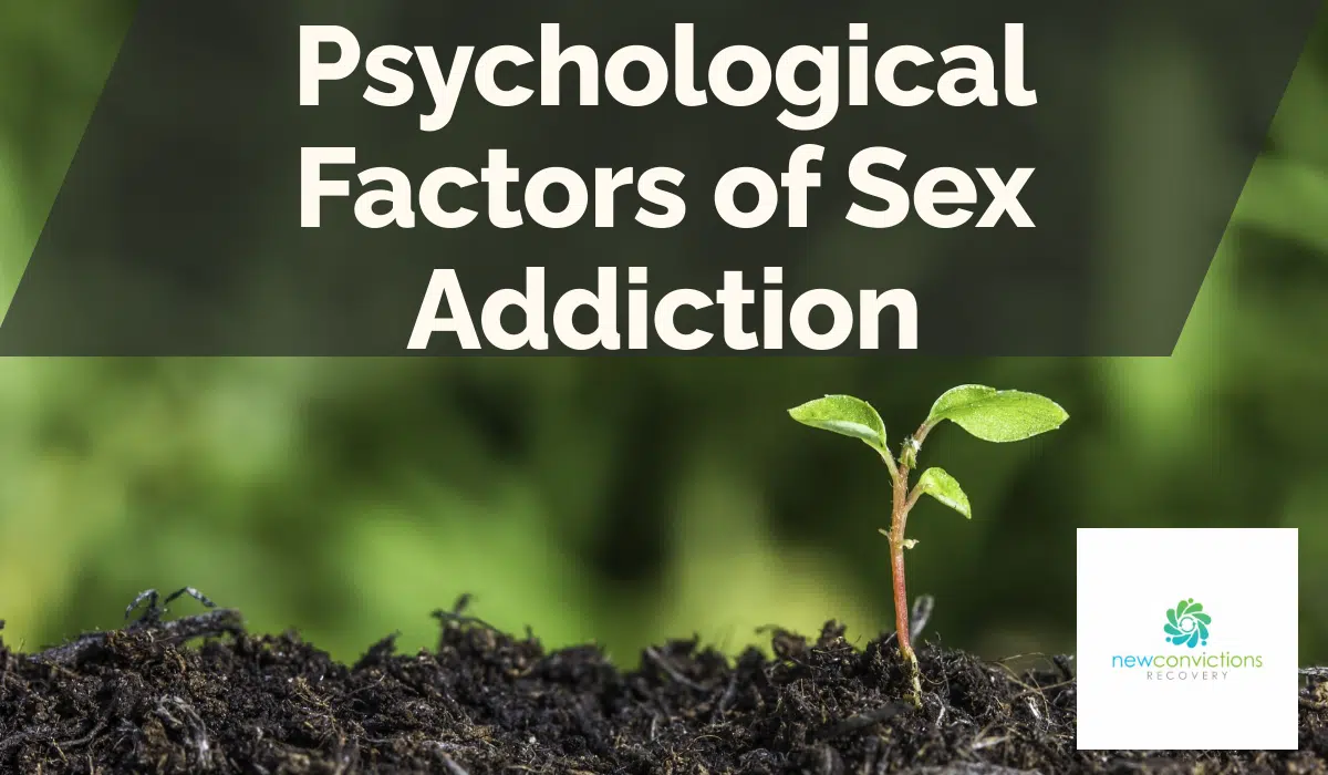 Psychological Factors of Sex Addiction