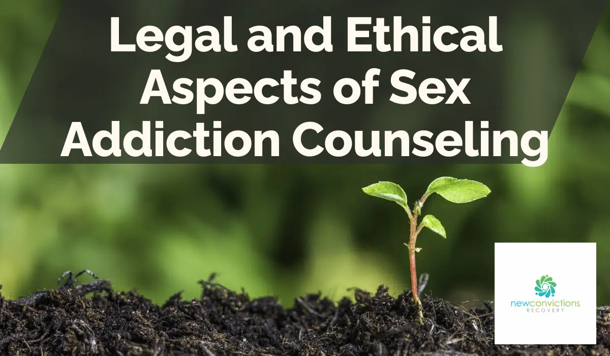 Legal and Ethical Aspects of Sex Addiction Counseling