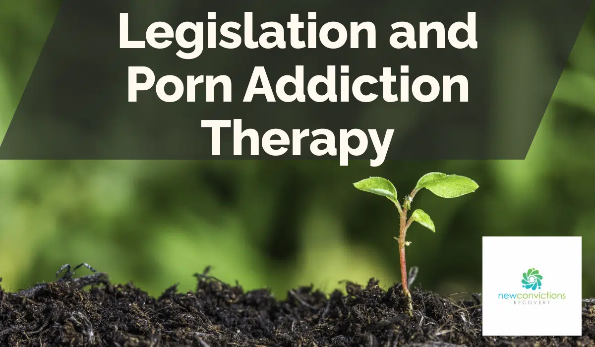 Legislation and Porn Addiction Therapy