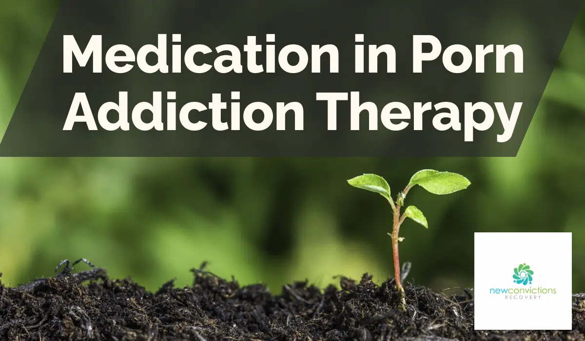 Medication in Porn Addiction Therapy