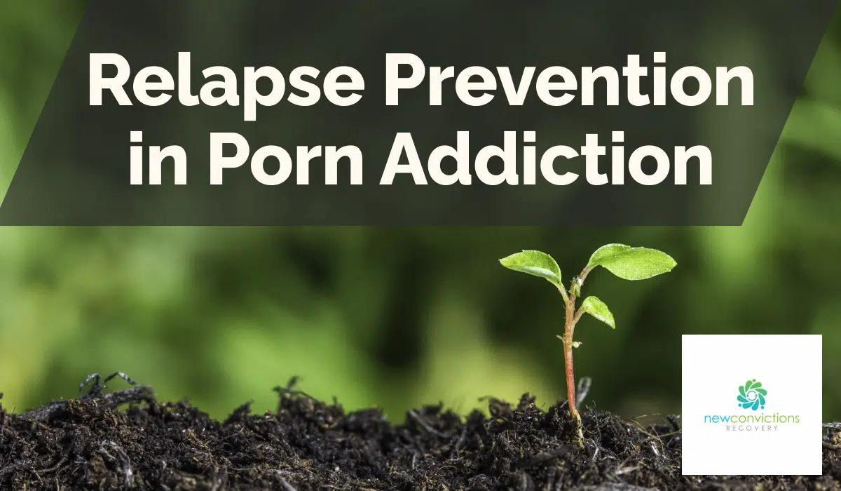 Relapse Prevention in Porn Addiction