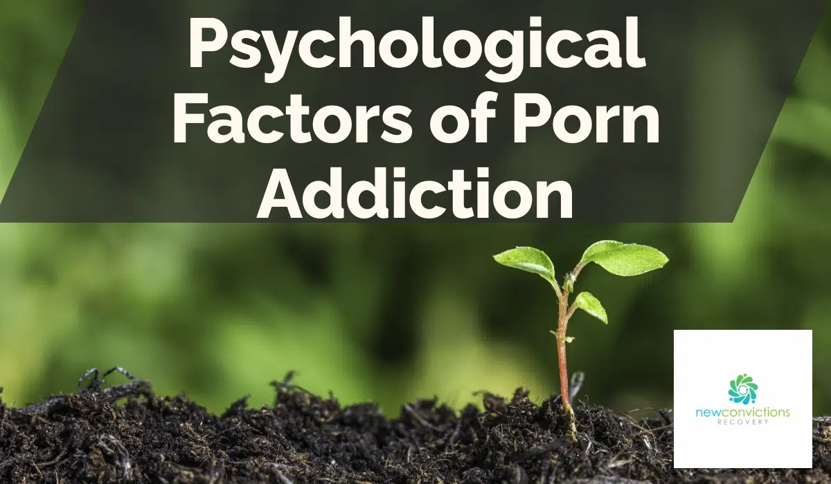 Psychological Factors of Porn Addiction